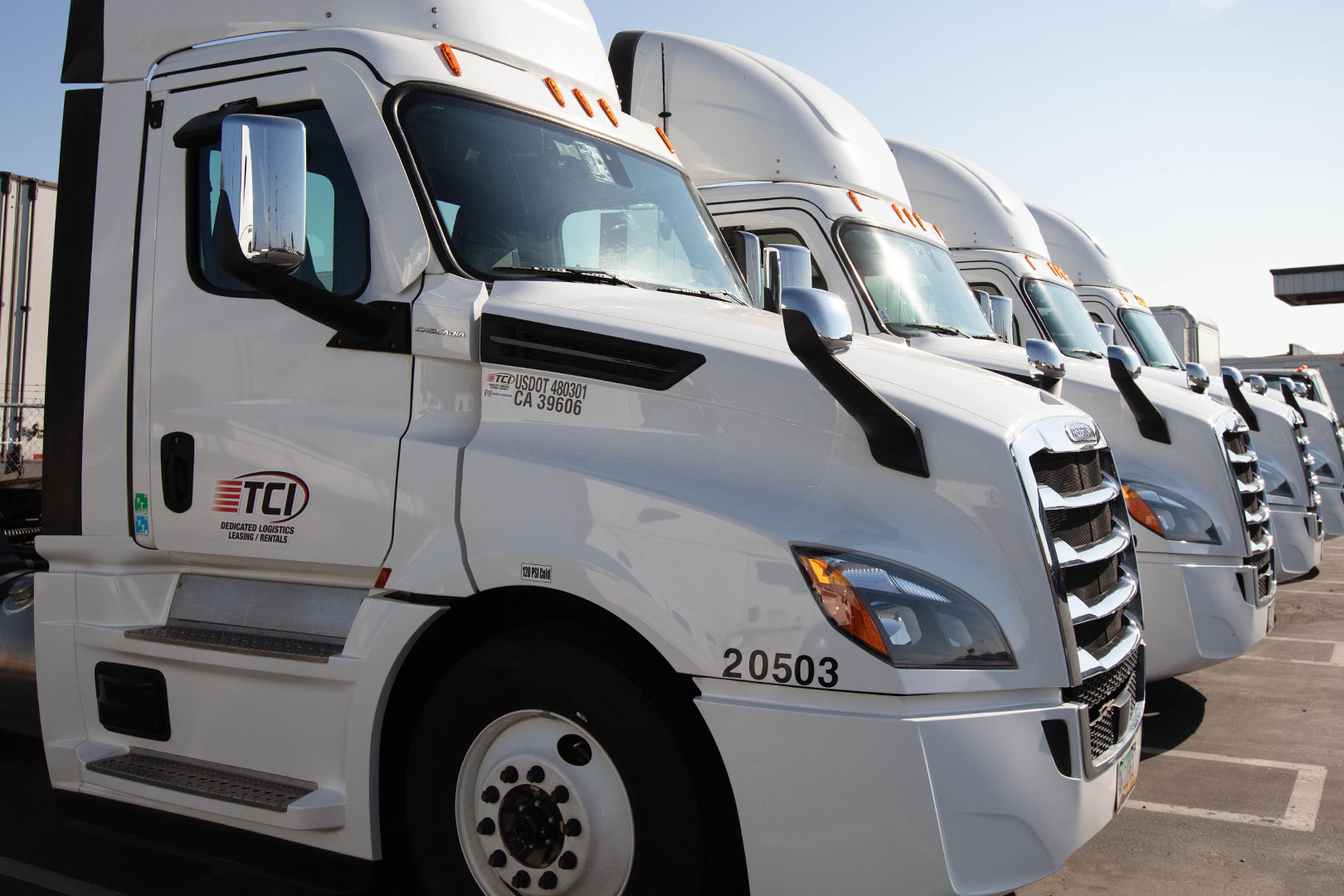 Row of white semi tractors